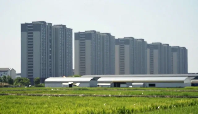 速冻食品包装服务检查要点及使用建议
